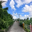 茅坦村 - 台州市旅游 缩略图 4