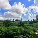 茅坦村 - 台州市旅游 缩略图 8
