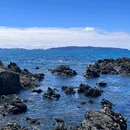 新西兰 - 海外旅游 缩略图 1