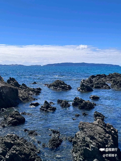 新西兰 - 海外旅游