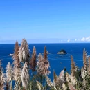 新西兰 - 海外旅游 缩略图 7