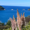 新西兰 - 海外旅游 缩略图 6