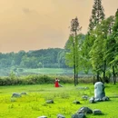 成都龙潭水乡 - 成都市旅游 缩略图 4
