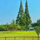 成都龙潭水乡 - 成都市旅游 缩略图 1