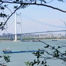 兴国园 - 无锡市旅游 缩略图 9