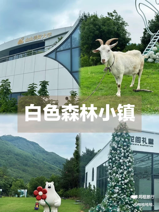 柏丽酒店(金华高铁站南广场店) - 金华市旅游
