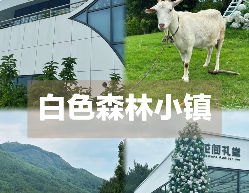 柏丽酒店(金华高铁站南广场店) - 金华市旅游 1