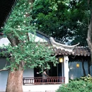瞻园 - 南京市旅游 缩略图 5