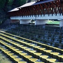 长兴八都岕十里古银杏长廊景区 - 湖州市旅游 缩略图 4