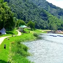 长兴八都岕十里古银杏长廊景区 - 湖州市旅游 缩略图 2