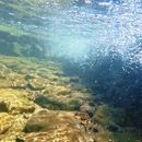 长兴八都岕十里古银杏长廊景区 - 湖州市旅游 缩略图 5