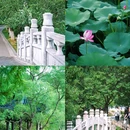 瞻园 - 南京市旅游 缩略图 4