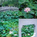 瞻园 - 南京市旅游 缩略图 6