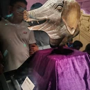 安徽博物院(新馆) - 合肥旅游 缩略图 6