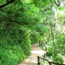 西山景区-太华古道 - 昆明市旅游 缩略图 7
