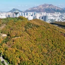 金州站 - 大连市旅游 缩略图 5