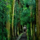 蒙顶山风景名胜区 - 雅安市旅游 缩略图 3