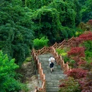 蒙顶山风景名胜区 - 雅安市旅游 缩略图 7