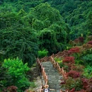 蒙顶山风景名胜区 - 雅安市旅游 缩略图 6