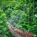 蒙顶山风景名胜区 - 雅安市旅游 缩略图 9