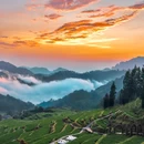 云和梯田景区 - 丽水市旅游 缩略图 5