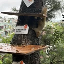 大理石瀑布 - 美国旅游 缩略图 7
