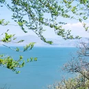 大理古城 - 大理白族自治州旅游 缩略图 9