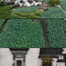 徽州古城景区 - 黄山市旅游 缩略图 1