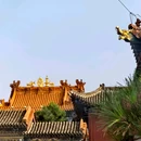 大召无量寺 - 呼和浩特市旅游 缩略图 7