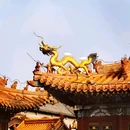 大召无量寺 - 呼和浩特市旅游 缩略图 6
