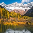 四姑娘山景区-双桥沟景区 - 阿坝藏族羌族自治州旅游 缩略图 3