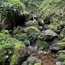 龙苍沟森林公园 - 雅安市旅游 缩略图 5