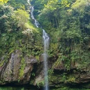 龙苍沟森林公园 - 雅安市旅游 缩略图 8