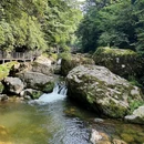 龙苍沟森林公园 - 雅安市旅游 缩略图 9
