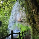 龙苍沟森林公园 - 雅安市旅游 缩略图 6
