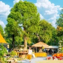 顺峰山公园 - 佛山市旅游 缩略图 9