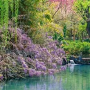 云南丰泽园植物园 - 昆明市旅游 缩略图 5
