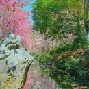云南丰泽园植物园 - 昆明市旅游 缩略图 2