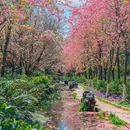 云南丰泽园植物园 - 昆明市旅游 缩略图 1