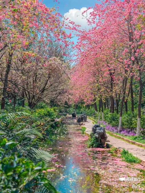 云南丰泽园植物园 - 昆明市旅游