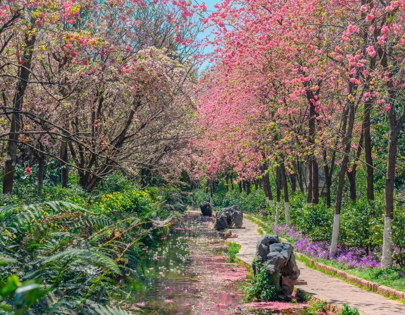 云南丰泽园植物园 - 昆明市旅游 1