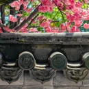 云南丰泽园植物园 - 昆明市旅游 缩略图 8