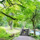 喇叭河风景区 - 雅安市旅游 缩略图 4