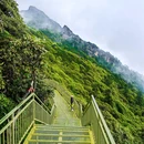 喇叭河风景区 - 雅安市旅游 缩略图 9