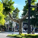 仪征鼓楼 - 扬州市旅游 缩略图 5