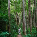 千岛湖牧心谷徒步路线 - 杭州市旅游 缩略图 2