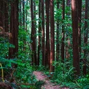 千岛湖牧心谷徒步路线 - 杭州市旅游 缩略图 5