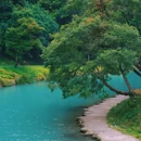 二郎山喇叭河景区游客中心 - 雅安市旅游 缩略图 3