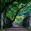 二郎山喇叭河景区游客中心 - 雅安市旅游 缩略图 4
