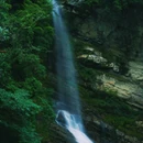 二郎山喇叭河景区游客中心 - 雅安市旅游 缩略图 6
